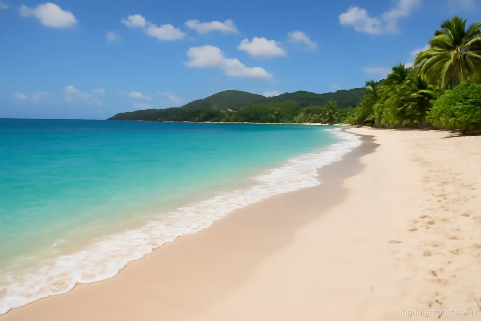 Cricket trong đời sống người Grenada